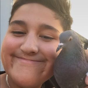 Meet your Posher, Pedro